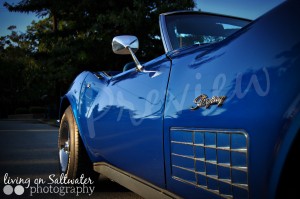 Living on Saltwater Photography - Corvette Stingray