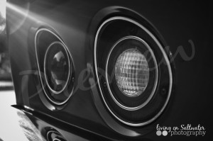 Living on Saltwater Photography - Corvette Stingray